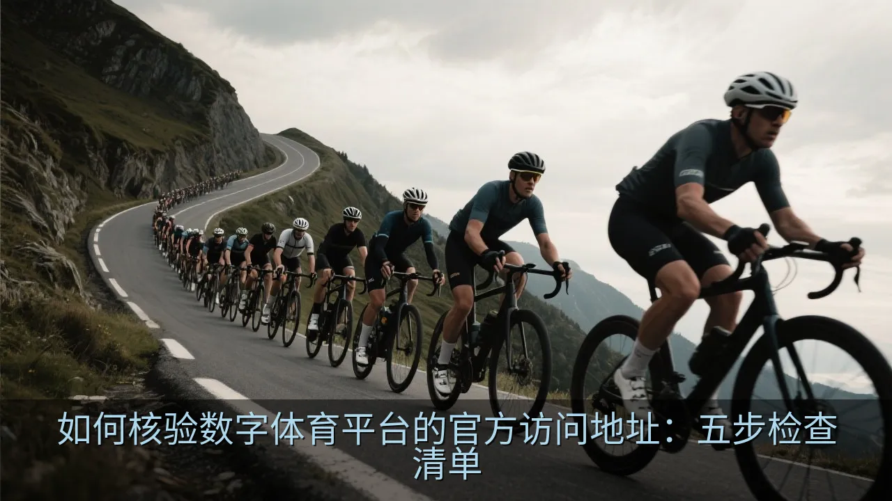 用户在笔记本电脑前核对网页连接信息和安全清单的插图